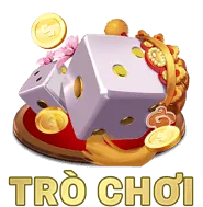 Hỗ trợ khách hàng và FAQ